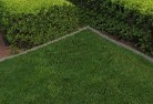 Gilmore NSWlawn-and-turf-12.jpg; ?>
