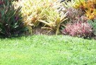 Gilmore NSWlawn-and-turf-15.jpg; ?>