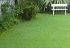 Gilmore NSWlawn-and-turf-2.jpg; ?>