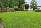 Gilmore NSWlawn-and-turf-33.jpg; ?>